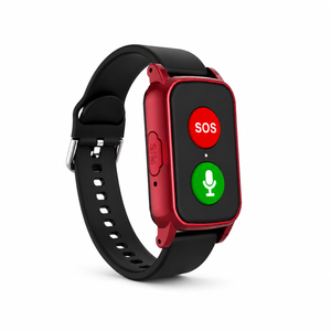Weewise WS69 senior smartwatch