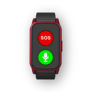 Weewise WS69 senior smartwatch